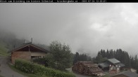 Archiv Foto Webcam Hinteres Silbertal 11:00