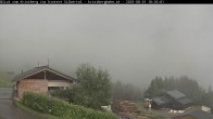 Archiv Foto Webcam Hinteres Silbertal 17:00