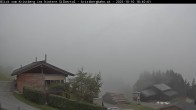 Archiv Foto Webcam Hinteres Silbertal 17:00