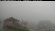 Archiv Foto Webcam Hinteres Silbertal 11:00