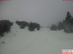 Archiv Foto Webcam Bergstation Dorfbahn, Brandnertal in Vorarlberg 11:00