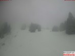 Archiv Foto Webcam Bergstation Dorfbahn, Brandnertal in Vorarlberg 09:00