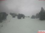 Archiv Foto Webcam Bergstation Dorfbahn, Brandnertal in Vorarlberg 11:00