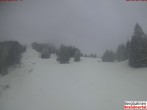 Archiv Foto Webcam Bergstation Dorfbahn, Brandnertal in Vorarlberg 13:00