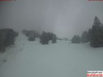 Archiv Foto Webcam Bergstation Dorfbahn, Brandnertal in Vorarlberg 15:00