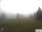 Archiv Foto Webcam Bergstation Dorfbahn, Brandnertal in Vorarlberg 13:00