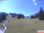 Archiv Foto Webcam Bergstation Dorfbahn, Brandnertal in Vorarlberg 11:00