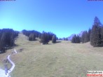 Archiv Foto Webcam Bergstation Dorfbahn, Brandnertal in Vorarlberg 11:00