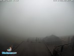 Archiv Foto Webcam Bergstation Diedamskopf, Vorarlberg 13:00