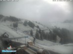 Archived image Webcam Mountain Diedamskopf - View Wedelstube 07:00