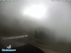 Archiv Foto Webcam Diedamskopf: Ausblick Wedelstube 11:00