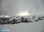 Archived image Webcam Diedamskopf: Panoramic view Breitenalpe 11:00