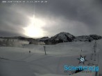 Archiv Foto Webcam Panorama Alpe Schetteregg, Vorarlberg 09:00