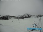 Archiv Foto Webcam Panorama Alpe Schetteregg, Vorarlberg 11:00