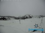 Archiv Foto Webcam Panorama Alpe Schetteregg, Vorarlberg 13:00