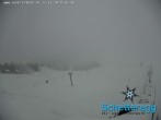 Archiv Foto Webcam Panorama Alpe Schetteregg, Vorarlberg 15:00