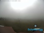 Archiv Foto Webcam Panorama Alpe Schetteregg, Vorarlberg 11:00