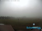 Archiv Foto Webcam Panorama Alpe Schetteregg, Vorarlberg 11:00