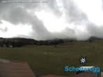 Archiv Foto Webcam Panorama Alpe Schetteregg, Vorarlberg 11:00