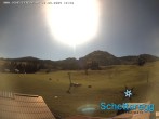 Archiv Foto Webcam Panorama Alpe Schetteregg, Vorarlberg 11:00