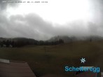 Archiv Foto Webcam Panorama Alpe Schetteregg, Vorarlberg 11:00