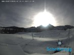 Archiv Foto Webcam Panorama Alpe Schetteregg, Vorarlberg 11:00