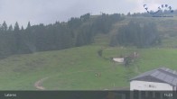 Archiv Foto Webcam Laterns, Bergstation Gapfohl 14:00