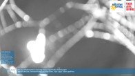 Archiv Foto Webcam Bergstation Pendelbahn in Sonntag 23:00