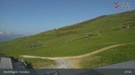 Archiv Foto Webcam Brigels Waltensburg, Alp Dado 07:00