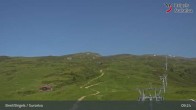 Archiv Foto Webcam Brigels Waltensburg, Alp Dado 08:00