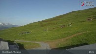 Archiv Foto Webcam Brigels Waltensburg, Alp Dado 06:00