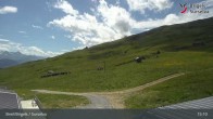 Archiv Foto Webcam Brigels Waltensburg, Alp Dado 14:00