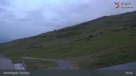 Archived image Webcam Brigels Waltensburg, Alp Dado 04:00