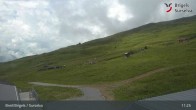 Archived image Webcam Brigels Waltensburg, Alp Dado 10:00