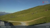 Archiv Foto Webcam Brigels Waltensburg, Alp Dado 07:00