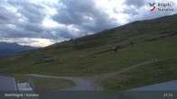 Archiv Foto Webcam Brigels Waltensburg, Alp Dado 02:00