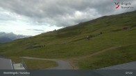 Archiv Foto Webcam Brigels Waltensburg, Alp Dado 06:00