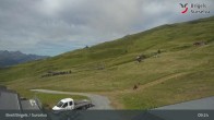 Archiv Foto Webcam Brigels Waltensburg, Alp Dado 08:00