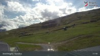 Archiv Foto Webcam Brigels Waltensburg, Alp Dado 16:00
