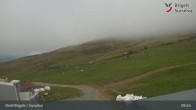 Archiv Foto Webcam Brigels Waltensburg, Alp Dado 08:00