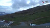Archiv Foto Webcam Brigels Waltensburg, Alp Dado 02:00