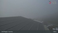 Archiv Foto Webcam Brigels Waltensburg, Alp Dado 08:00