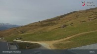 Archived image Webcam Brigels Waltensburg, Alp Dado 08:00