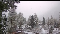 Archiv Foto Webcam Blick Campingplatz Morteratsch 11:00