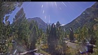 Archiv Foto Webcam Blick Campingplatz Morteratsch 11:00