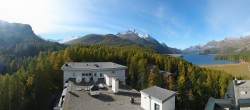 Archiv Foto Webcam Sils im Engadin - Silsersee 09:00