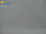 Archived image Webcam Minschuns / Val Müstair 11:00