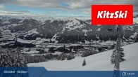 Archiv Foto Webcam Bichlalm in Kitzbühel 08:00