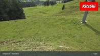Archiv Foto Webcam Bichlalm in Kitzbühel 14:00