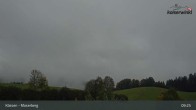 Archiv Foto Webcam Moserberg (Kössen) 08:00